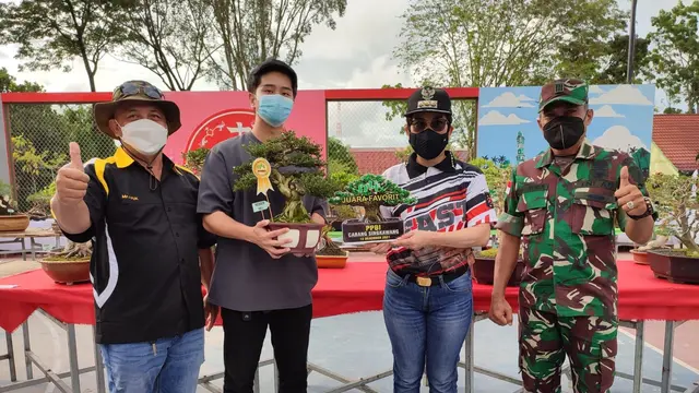 kontes bonsai yang diikuti oleh Jusin Clasic (ist)