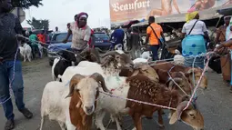 Kawanan domba yang akan dijual untuk perayaan Idul Adha di sebuah pasar kawasan Abidjan, Pantai Gading, Jumat (17/8). Umat Islam di seluruh dunia akan merayakan Hari Raya Idul Adha yang identik dengan tradisi berkurban. (AFP/ISSOUF SANOGO)