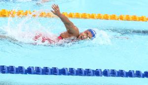 Aksi perenang Indonesia pada kualifikasi SEA Games 2025 di  Swimming Pool, Sports Authority of Thailand, Bangkok, Jumat (12/12/2025). (PB Akuatik Indonesia)