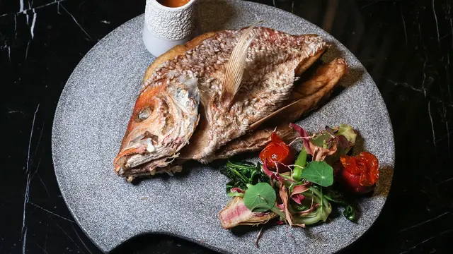 Ikan Kakap Merah Sisik