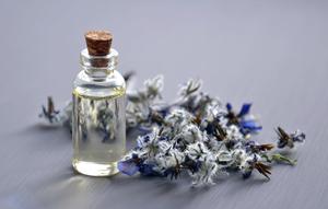 Ilustrasi lavender. (c) Mareefe/Pexels.com