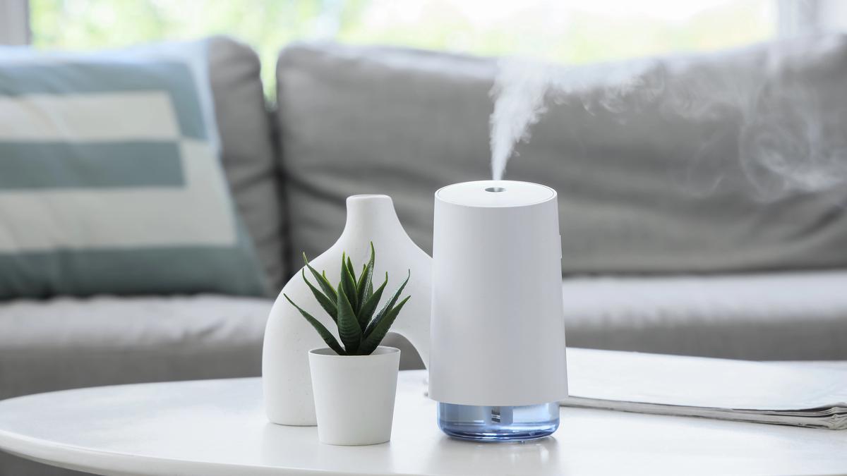 Bikin Mood Positif Sepanjang Hari, Ini 3 Rekomendasi Pengharum Ruangan untuk Relaksasi di Rumah