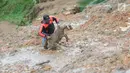 Warga mengangkat seekor kambing dari timbunan longsor di Dusun Cimapag, Desa Sirnaresmi, Kecamatan Cisolok, Sukabumi, Selasa (1/1). BNPB mencatat sebanyak 41 orang diduga masih tertimbun longsoran. (Merdeka.com/Arie Basuki)