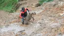 Warga mengangkat seekor kambing dari timbunan longsor di Dusun Cimapag, Desa Sirnaresmi, Kecamatan Cisolok, Sukabumi, Selasa (1/1). BNPB mencatat sebanyak 41 orang diduga masih tertimbun longsoran. (Merdeka.com/Arie Basuki)
