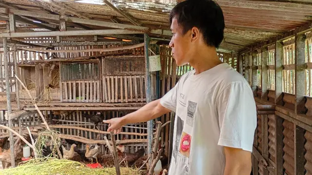 Muji mengungkapkan bahwa Kandang Gadri lebih dari sekadar bisnis peternakan, melainkan juga ruang pemulihan diri.