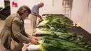 Juri memberikan penilaian terhadap daun bawang raksasa saat kompetisi sayur di Great Yorkshire Showground, Harrogate, Inggris, Jumat (16/9). Pameran ini memamerkan sayur-mayur raksasa yang dihasilkan tanpa rekayasa genetika. (AFP PHOTO/Oli Scarff) 