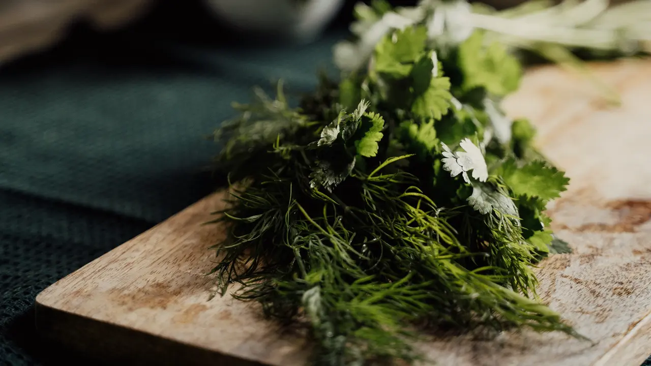 Daun Adas