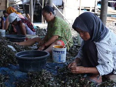 Aktifitas pekerja mengupas kulit kerang di pemukiman nelayan, Jakarta, Rabu (19/8). Kebanyakan buruh pengupas kulit kerang ini adalah pekerja serabutan dengan penghasilan 30 ribu perhari. (Liputan6.com/Angga Yuniar)