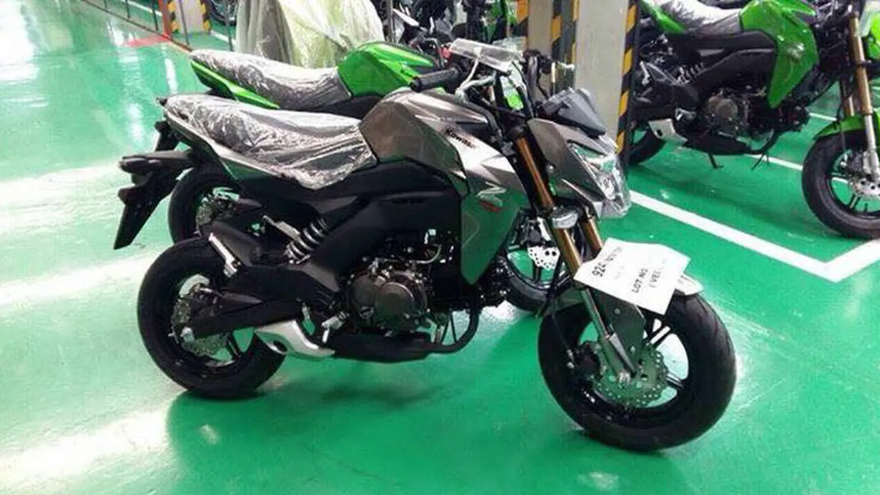 Kawasaki Siap Luncurkan ER-6N Versi Mungil