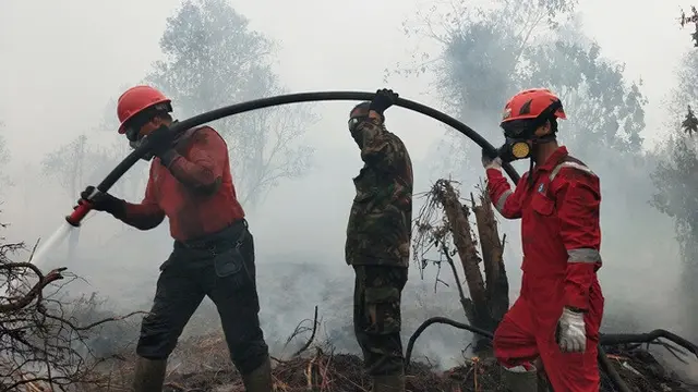 Petugas Manggala Agni berusaha memadamkan kebakaran lahan yang dekati rumah warga di Kabupaten Kampar.