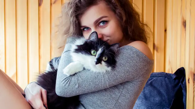 Happy Purrfect Valentine! Ini 5 Ide Seru Tunjukkan Kasih Sayang pada Kucing di Rumah