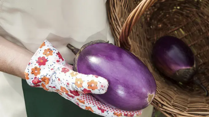 Foto: copyright thinkstockphotos.com