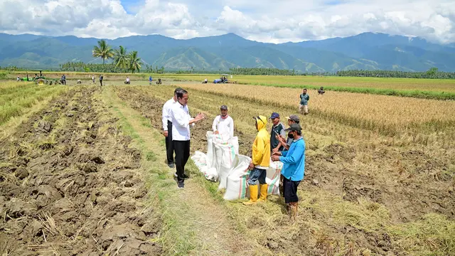 Presiden Bagikan Bantuan Pangan di Tolitoli