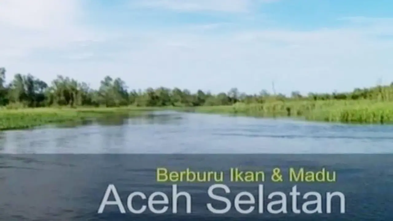 Destinasi: Berburu Ikan dan Madu Aceh Selatan