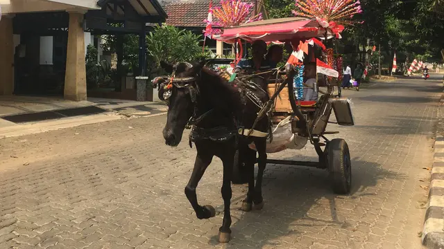 Delman di komplek Persada Kemala