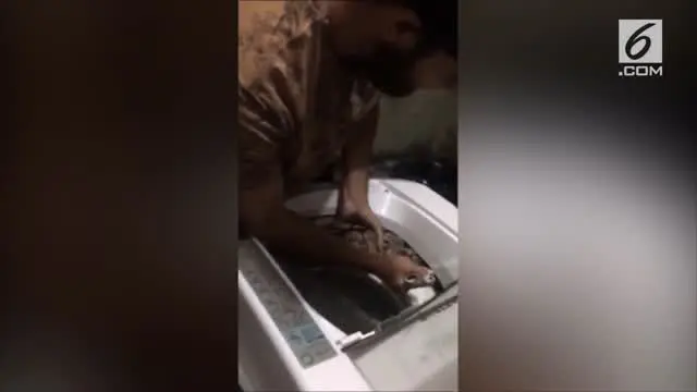 Seorang Ibu kaget sekaligus ketakutan ketika melihat ada ular besar di dalam mesin cucinya.
