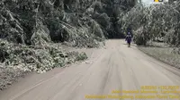 Jalan Terkubur Abu Vulkanik Erupsi Gunung Lewotobi Laki-Laki, Kementerian PU Kerahkan Alat Berat