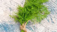 Rahasia Cara Memasak Daun Adas agar Aromanya Tetap Wangi, Dilengkapi 5 Resep Pilihan