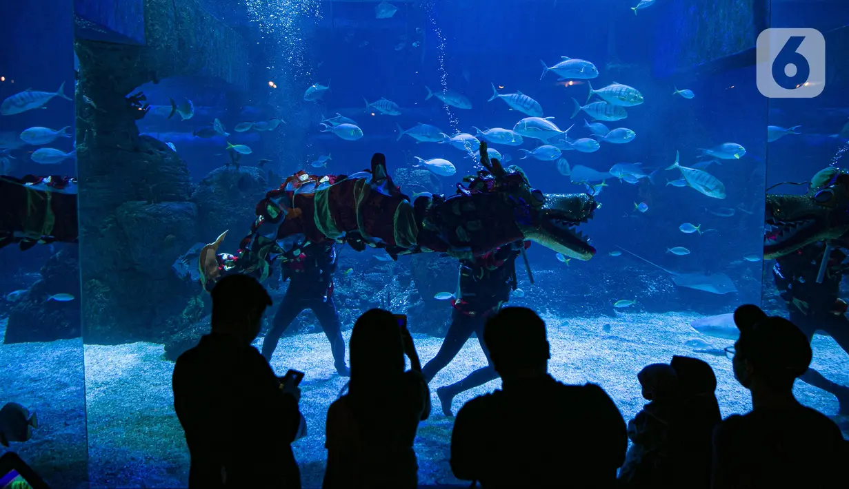 Pengunjung menyaksikan pemain Liong beratraksi di Jakarta Aquarium & Safari (JAQS), Jakarta Barat, Jumat (12/2/2021). Pertunjukan Liong Show bawah air yang diikuti oleh para putri duyung tersebut untuk memeriahkan Hari Raya Imlek 2572 atau Tahun Baru China. (Liputan6.com/Faizal Fanani)