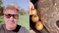 Gordon Ramsay menanggapi santai seorang koki yang menyebut dirinya tak bisa masak (Dok.Instagram/@gordongram/https://www.instagram.com/p/CGx7GbWD440/Komarudin)