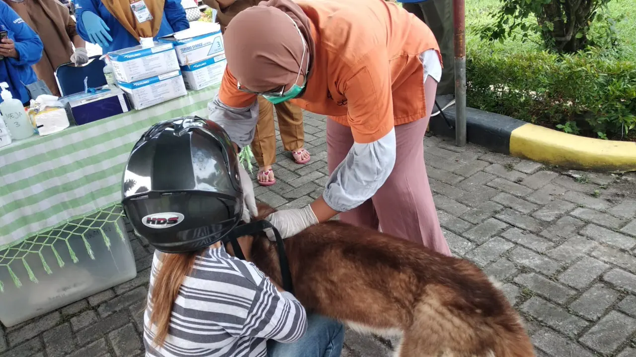 Vaksinasi hewan