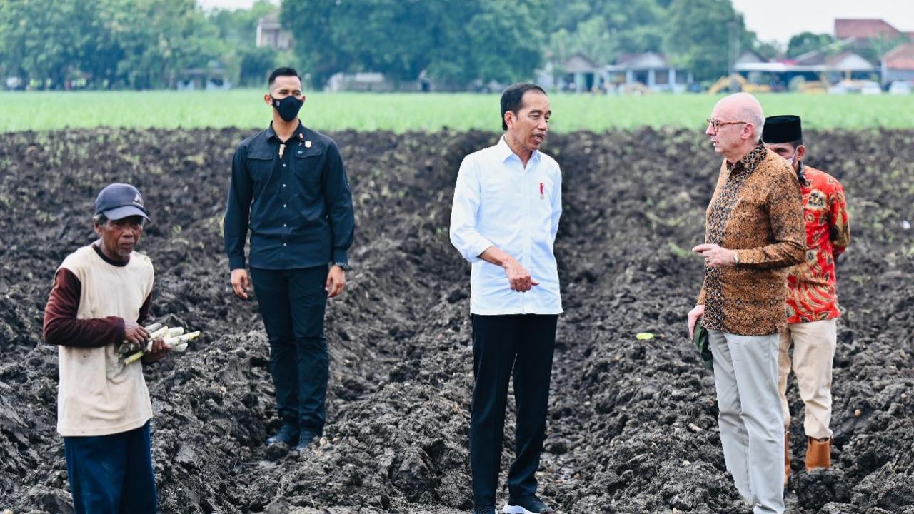 Presiden Joko Widodo atau Jokowi