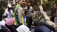 Sosok Dua Pengendara Korban Pohon Tumbang di Semarang