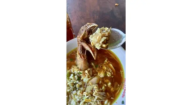 6 Kelakuan Nyeleneh Orang Suapi Makan Hewan Ini Bikin Geleng Kepala