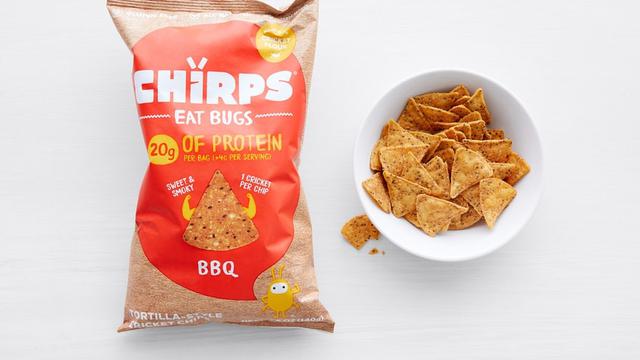 Jangkrik dijadikan Camilan Diet, Sehatkah?