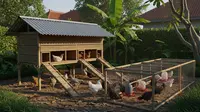 12 Cara Memulai Usaha Ayam Petelur Rumahan, Modal Terjangkau dan Berpotensi Untung Stabil Jangka Panjang