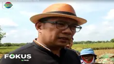 Dalam kampanye kali ini, mereka juga menjanjikan program kesejahteraan dan kemakmuran, terutama bagi petani dan pedagang tradisonal.