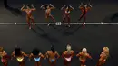 Peserta wanita kontes binaraga menunjukkan lekuk tubuhnya dihadapan penonton dan juri pada kontes Arnold Klasik Eropa 2015 di Madrid, Spanyol, Jumat (25/9). (REUTERS/Susana Vera)