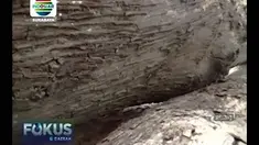 Dua kakek di Kabupaten Lamongan harus berurusan dengan hukum, lantaran mencuri kayu jati di lahan Perhutani yang akan digunakan untuk memperbaiki rumah. Kayu jati yang dicuri berada di lahan Perhutani yang berada di desanya.