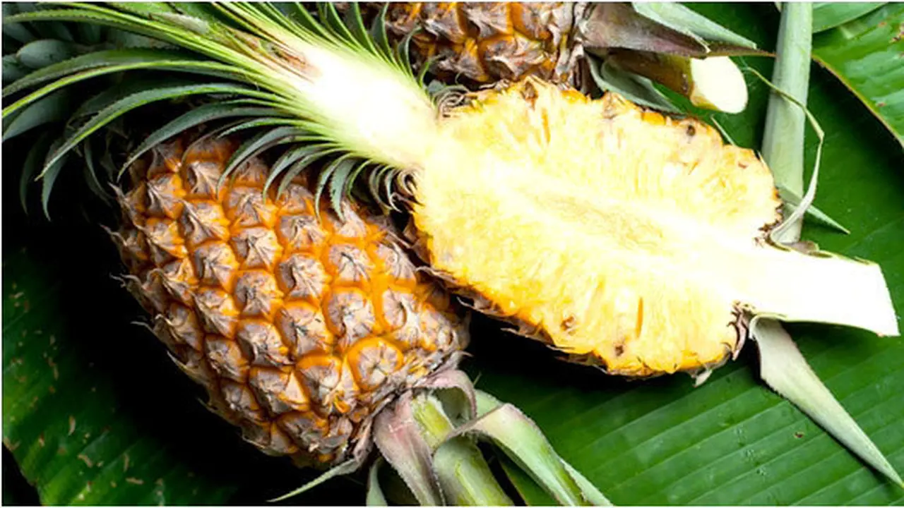 Courtesy ShutterStock.com