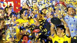 Boca Juniors' Hugo Ibarra holds up the trophy after obtaining the Argentina's league Championship at Presidente Juan Domingo Peron Stadium in Avellaneda, Buenos Aires, December 23, 2008. AFP PHOTO/Alejandro PAGNI 
