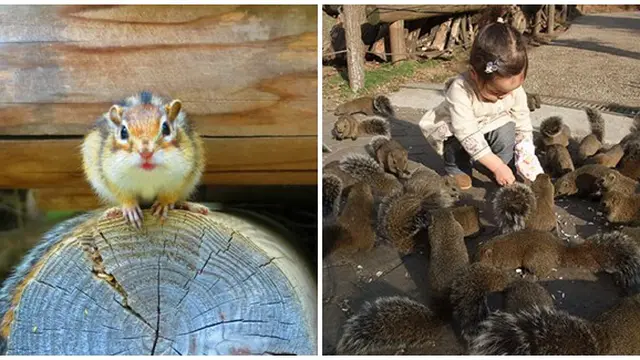 Foto : copyright kotaku.com