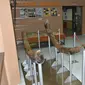 Fosil Stegodon dipajang di Lobby Prodi Teknik Geologi ITB. (Dok. Humas ITB)