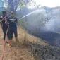 Tim Pemadam Kebakaran Kabupaten Situbondo berjibaku memadamkan 5 hetar lahan yang terbakar di Desa Sumberkolah Situbondo (Istimewa)
