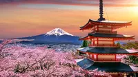 10 Most Beautiful Cities in Japan You Need to Visit