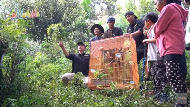 7 Momen Irfan Hakim dan Sang Putra Rayakan HUT ke-77 Kemerdekaan RI di Gunung