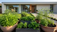 Panduan Membuat Kebun Sayur Mini di Teras Rumah dengan Pot Sederhana