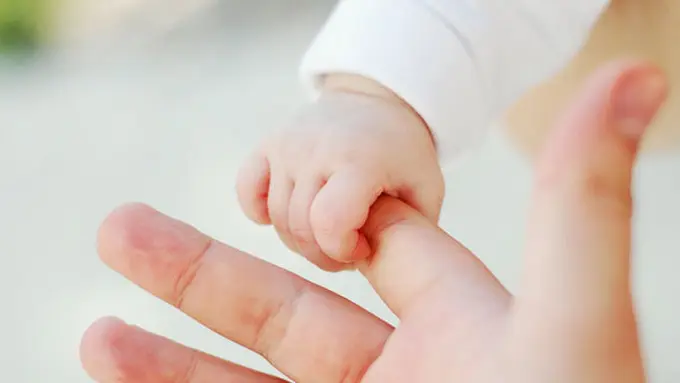 Courtesy ShutterStock.com