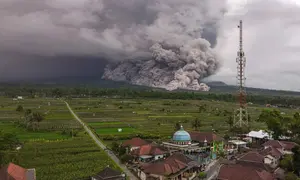 Pihak berwenang terus memantau aktivitas gunung dan memberikan informasi terkini melalui situs resmi seperti PVMBG dan BNPB agar masyarakat tetap waspada dan siaga. Tampak sebuah foto udara memperlihatkan aliran piroklastik selama letusan Gunung Semeru di Lumajang, Jawa Timur, pada Rabu 19 November 2025. (Agus Harianto/AFP)