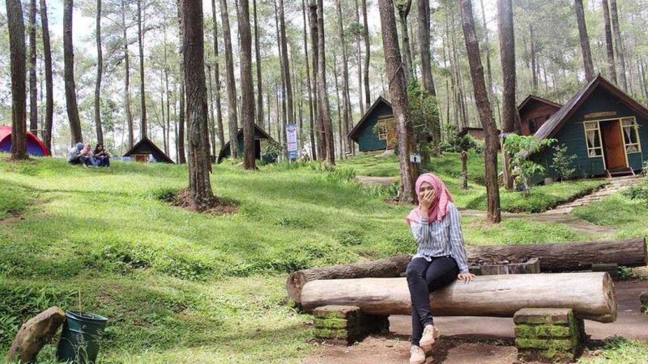 hutan pinus, Bandung, kemping