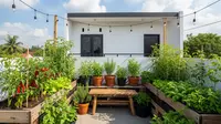 10 Inspirasi Kebun di Rooftop 3x3 Meter untuk Rumah Perkotaan Tanpa Halaman, Bikin Rumah Adem
