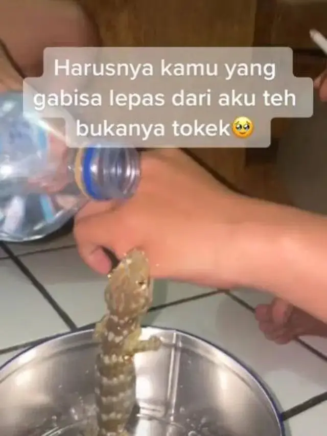 10 Potret Nyeleneh Orang Apes Waktu Digigit Hewan Ini Bikin Kasihan