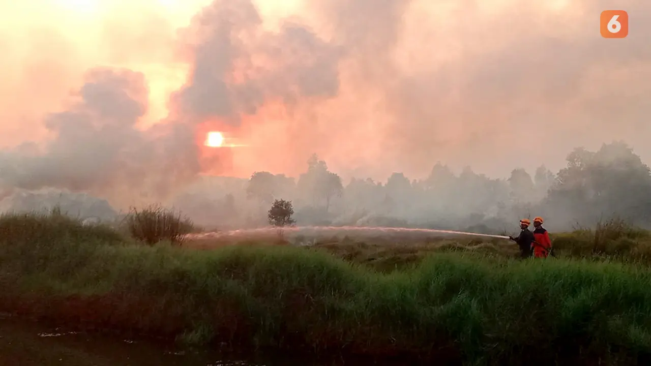 Karhutla Kalsel Banjarbaru