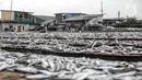 Pekerja menjemur ikan saat proses pengasinan di kawasan Muara Angke, Jakarta, Senin (26/12/2022). Nelayan mengaku produksi ikan asin di muara angke mengalami penurunan, disebabkan terhambatnya proses pengeringan di musim hujan. (Liputan6.com/Faizal Fanani)
