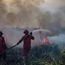 Kebakaran Hutan dan Lahan Berulang, Bahaya Jangka Panjang Mengintai
