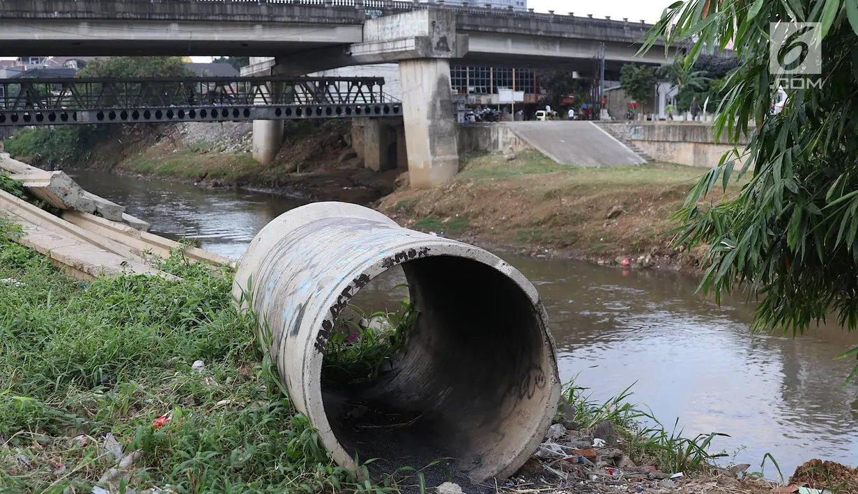 Suasana di sekitar aliran Kali Ciliwung, Jakarta, Selasa (26/3). Normalisasi Kali Ciliwung terganjal pembebasann lahan yang dikuasai warga. Pemprov DKI Jakarta menargetkan tahun 2019 masalah pembebasan tuntas. (Liputan6.com/Immanuel Antonius)